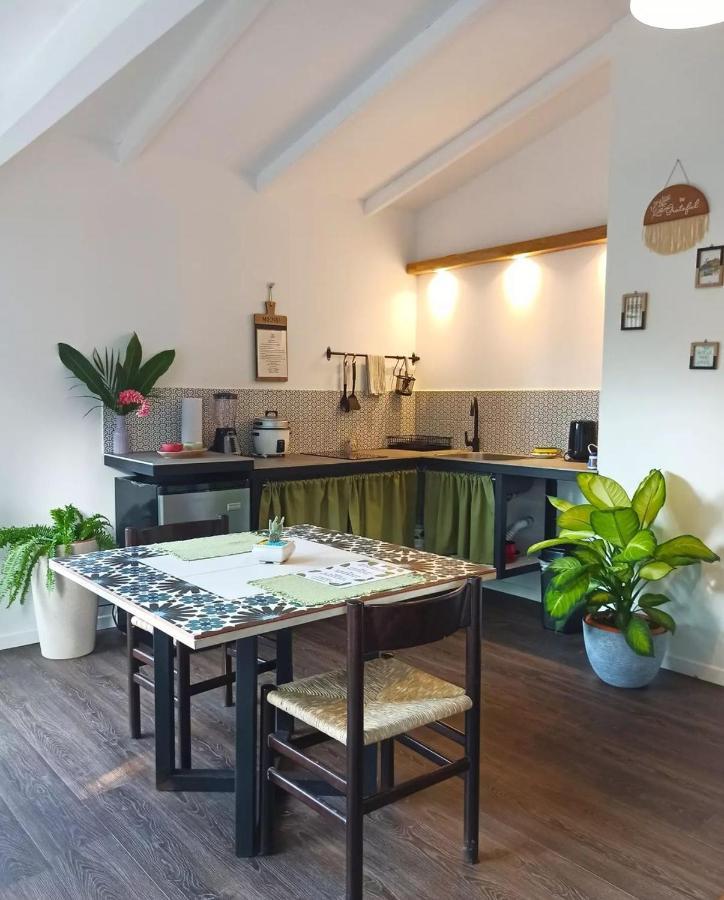 Chilamate Holiday House Puerto Viejo de Talamanca 外观 照片