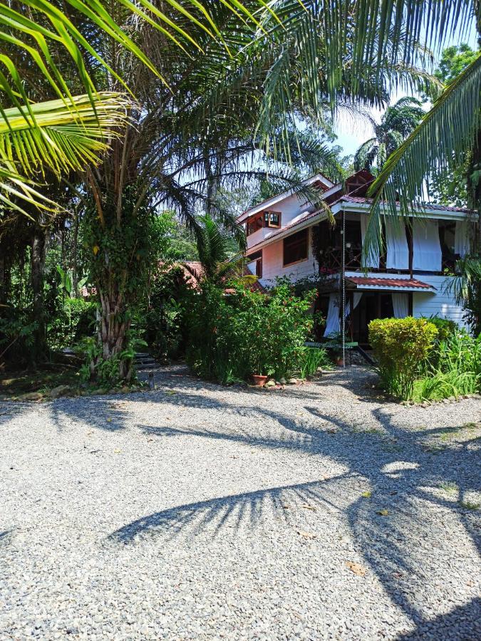 Chilamate Holiday House Puerto Viejo de Talamanca 外观 照片