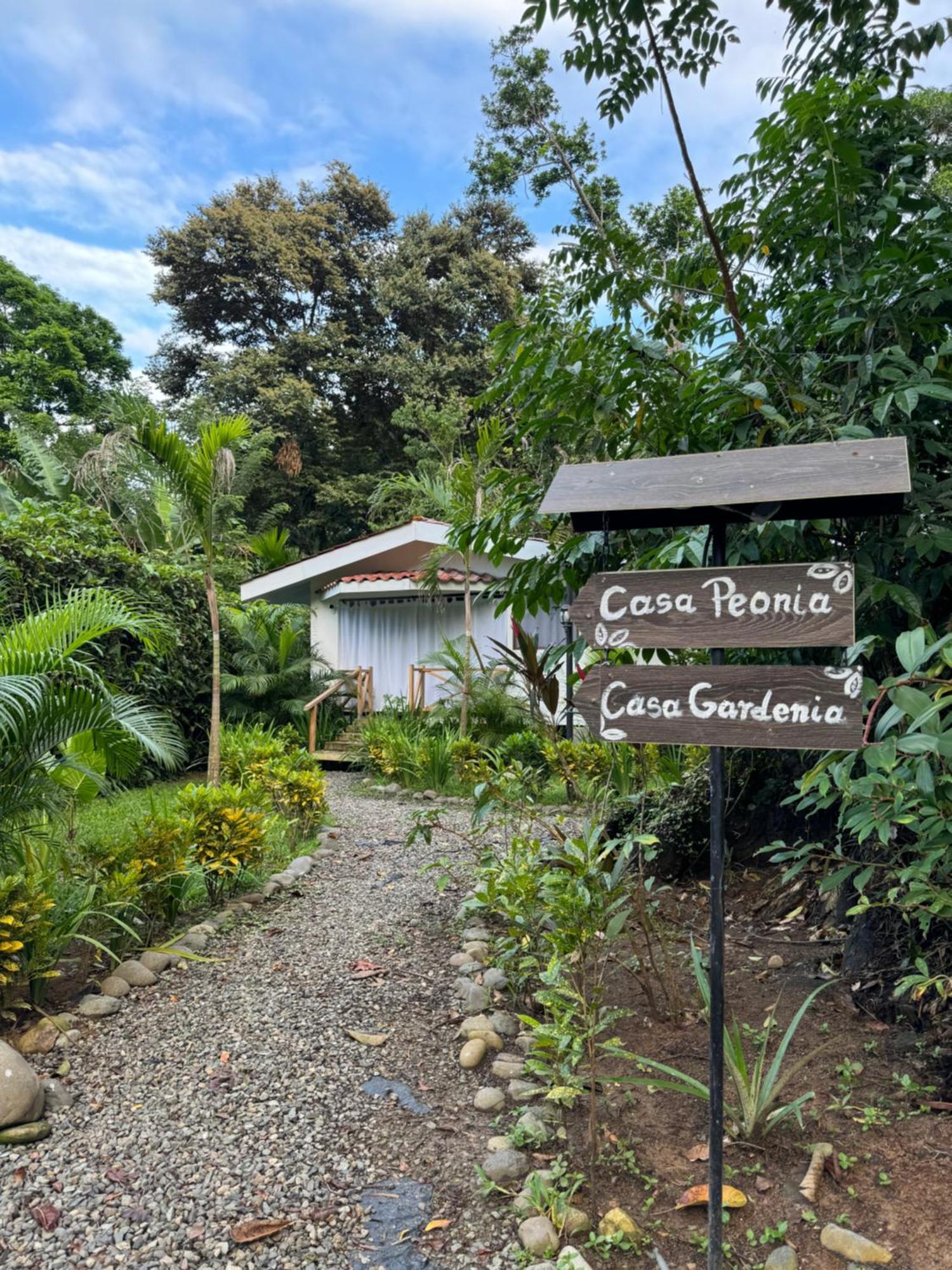 Chilamate Holiday House Puerto Viejo de Talamanca 外观 照片