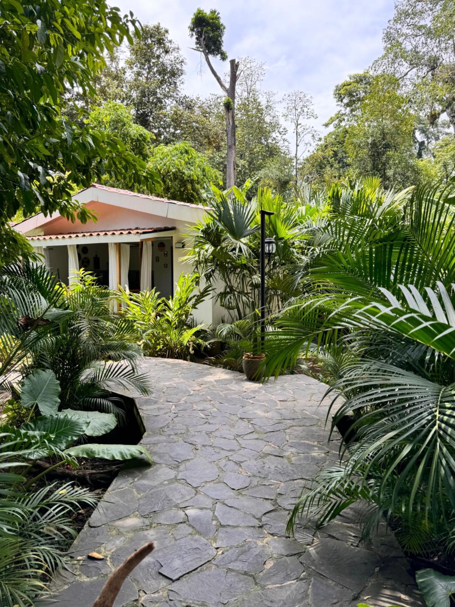 Chilamate Holiday House Puerto Viejo de Talamanca 外观 照片