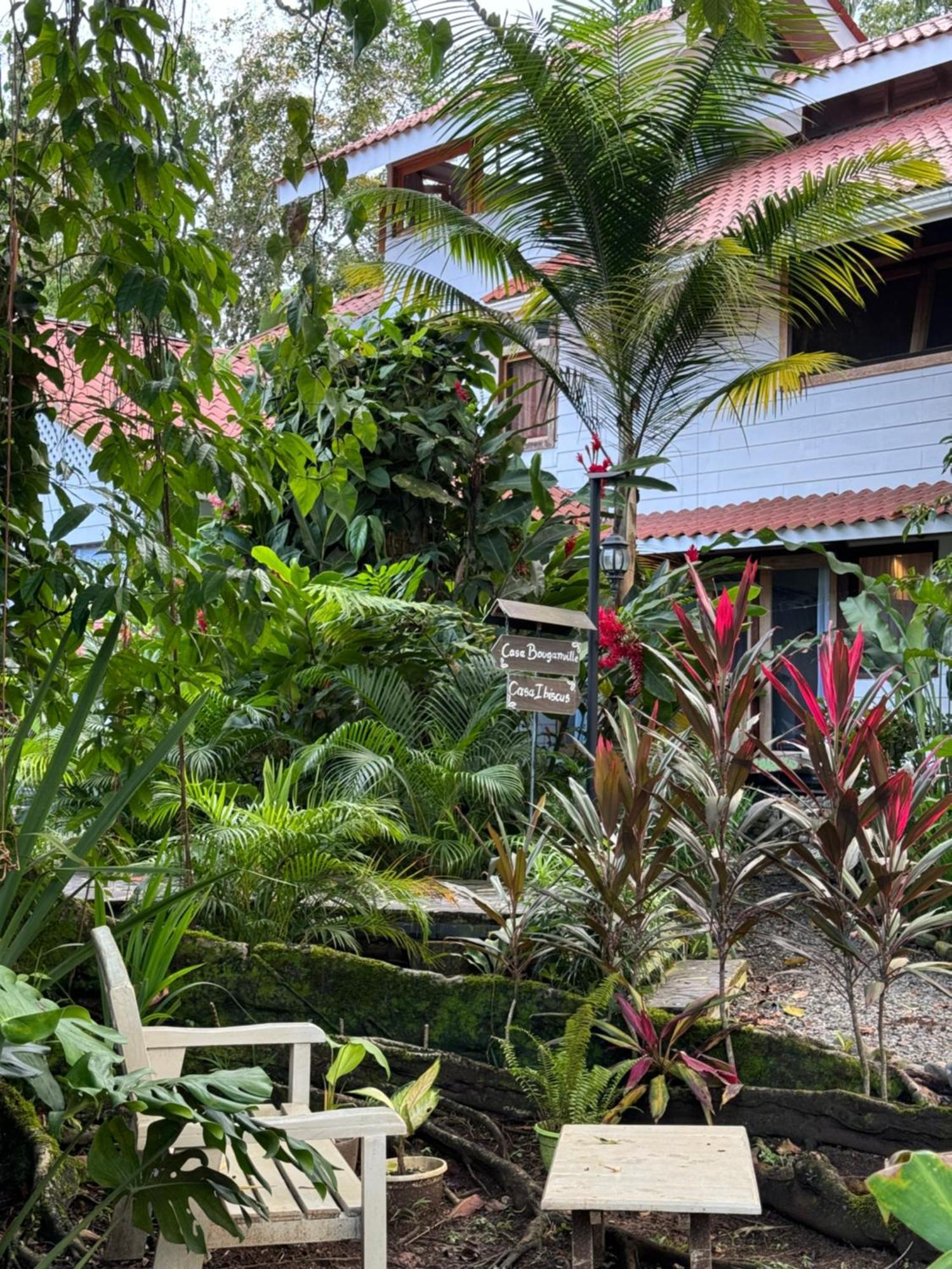 Chilamate Holiday House Puerto Viejo de Talamanca 外观 照片
