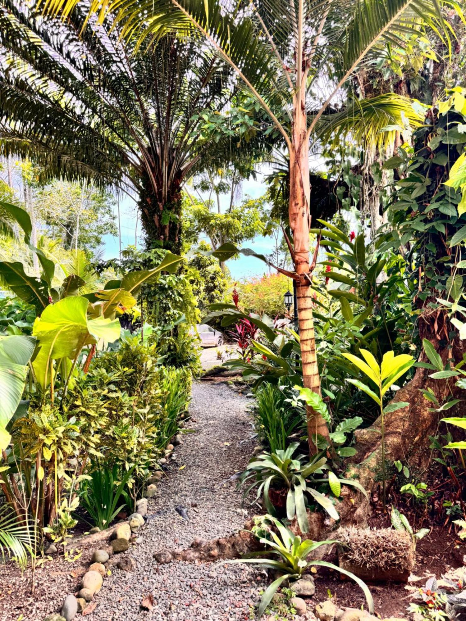 Chilamate Holiday House Puerto Viejo de Talamanca 外观 照片