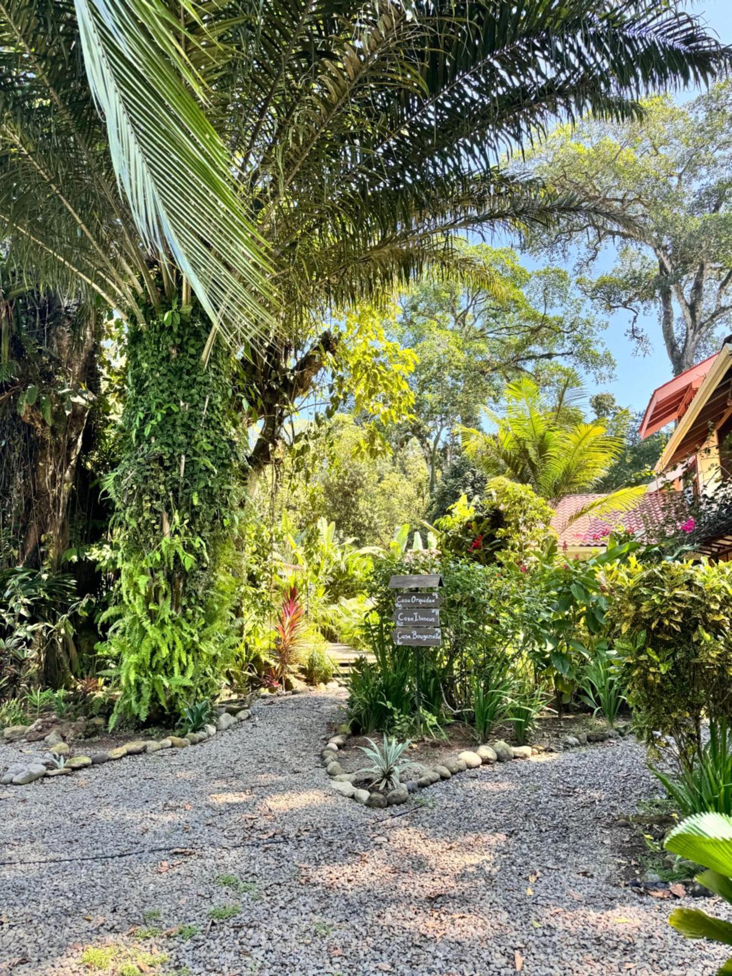 Chilamate Holiday House Puerto Viejo de Talamanca 外观 照片