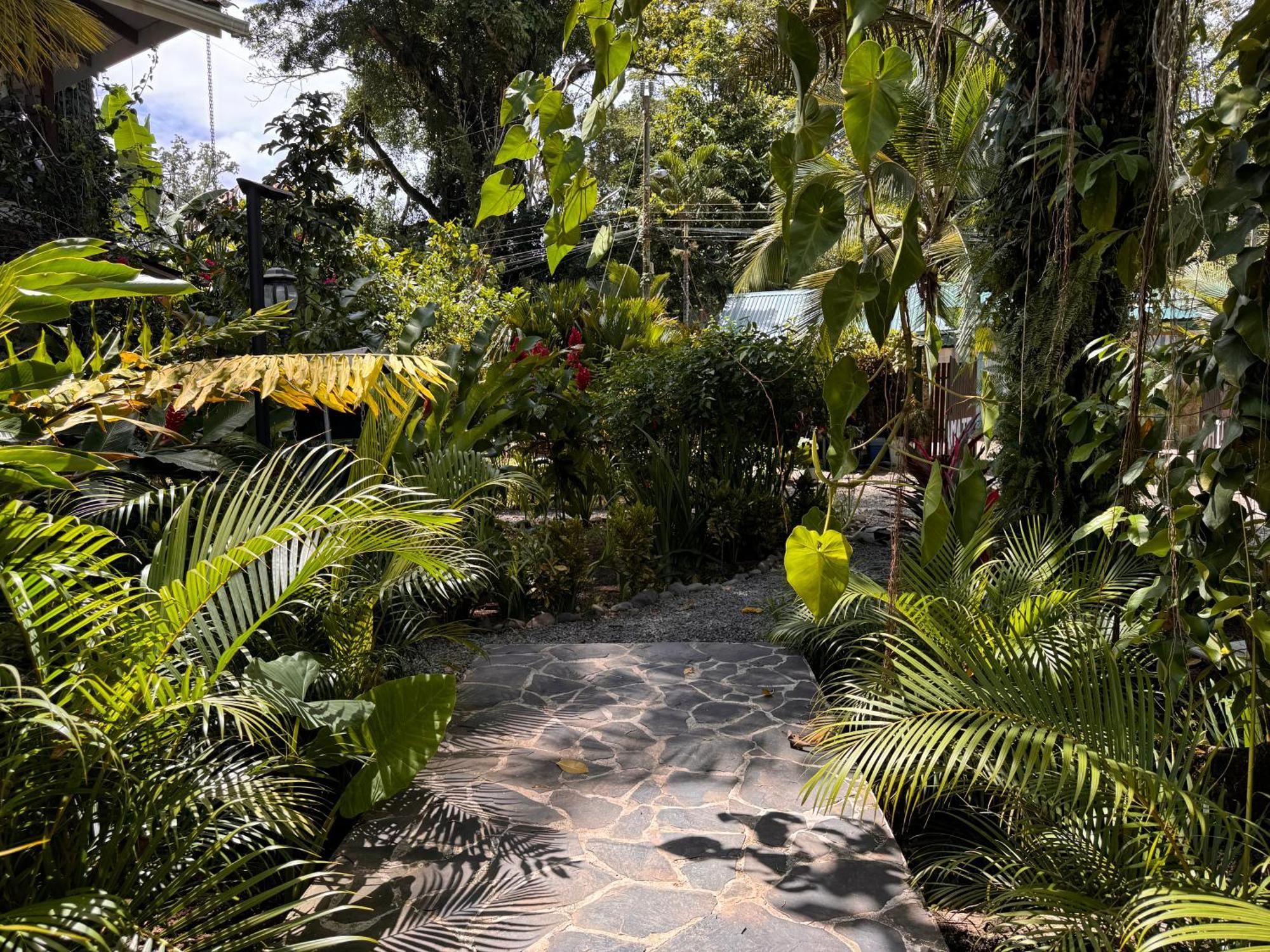 Chilamate Holiday House Puerto Viejo de Talamanca 外观 照片