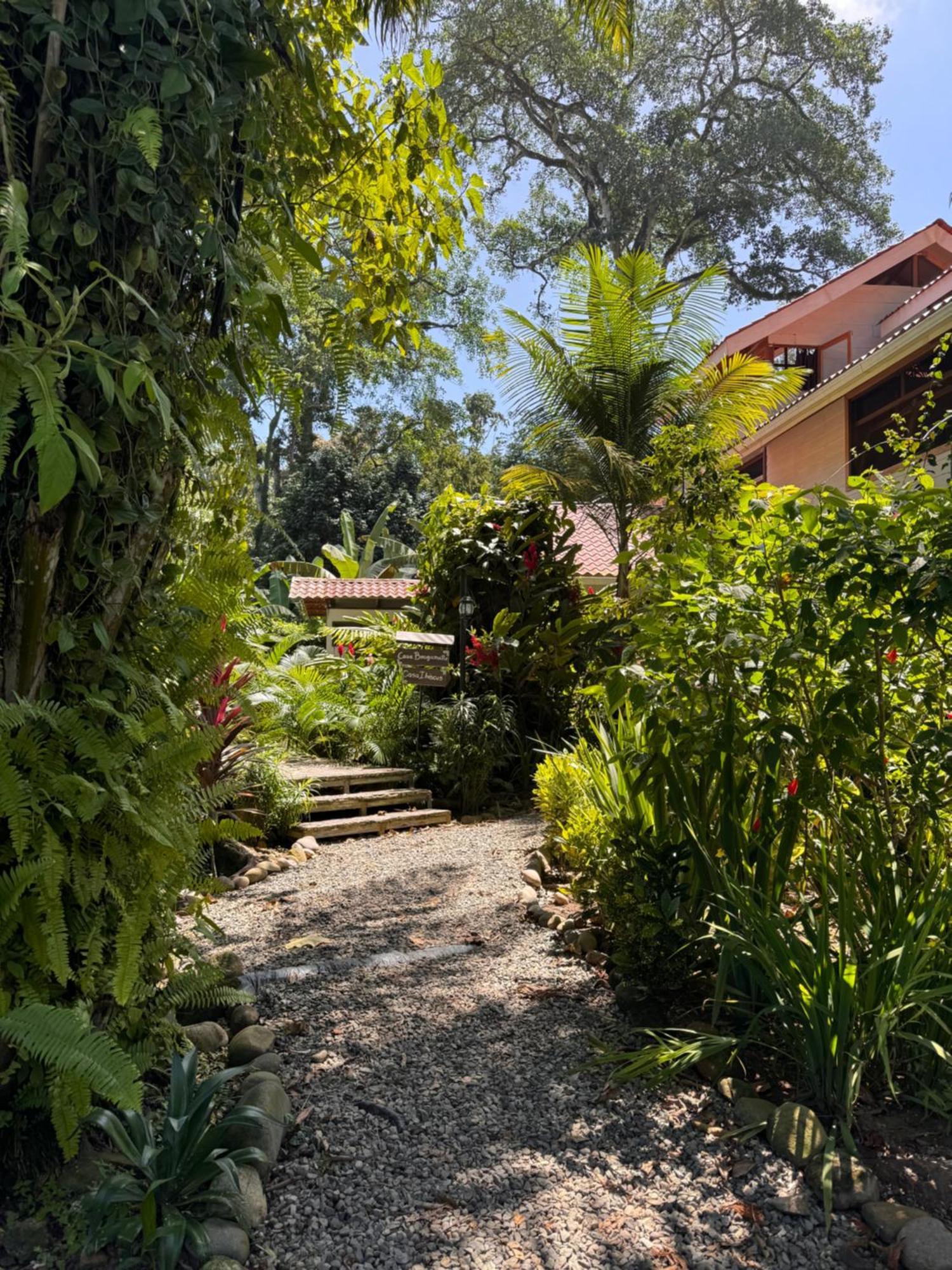 Chilamate Holiday House Puerto Viejo de Talamanca 外观 照片
